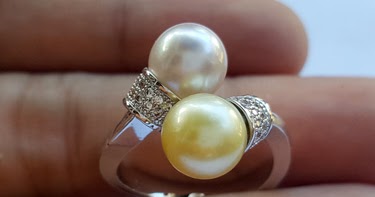  Cincin  Silang Mutiara  Laut Harga  Mutiara  Lombok 