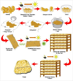 Cara Membuat Tempe