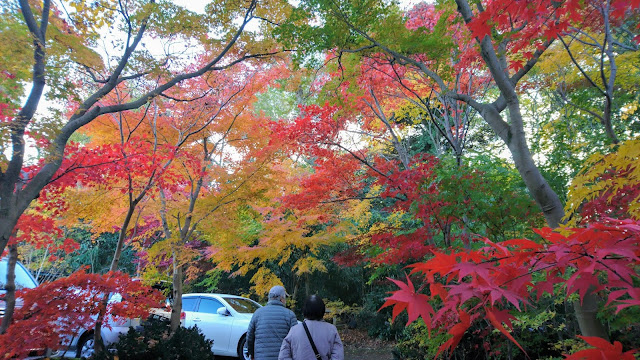 小林モミジ園の美しい紅葉