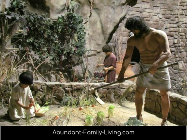 The Creation Museum: A Genesis Learning Experience