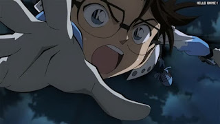 名探偵コナン 映画 劇場版25 ハロウィンの花嫁 Detective Conan Movie 25 The Bride of Halloween