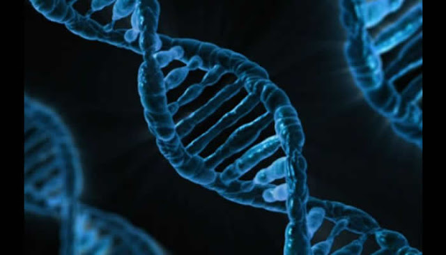 Cientistas invadem computador usando malware codificado em cadeia de DNA.