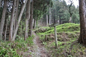 DSC 0797