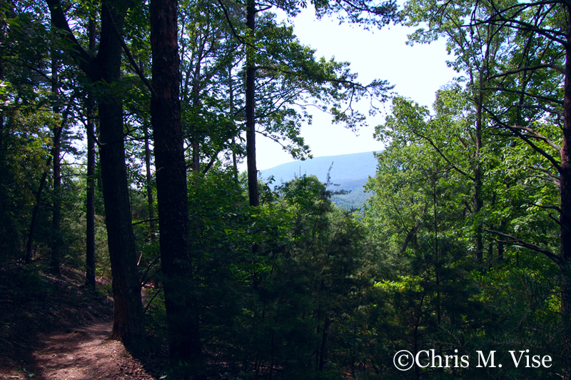 Hiking Pine Log Creek