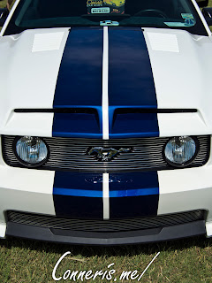 Ford Mustang Shelby Stripes