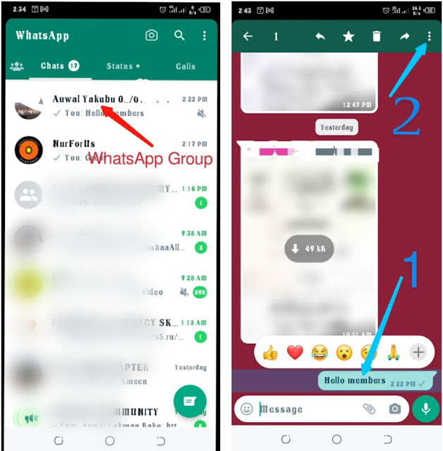 Check who view your WhatsApp group messages