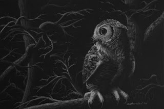 great horned owl white charcoal drawing