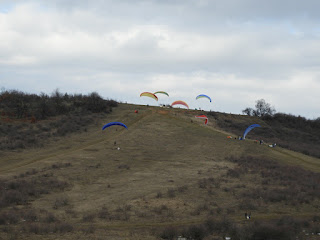 Siklóernyősök