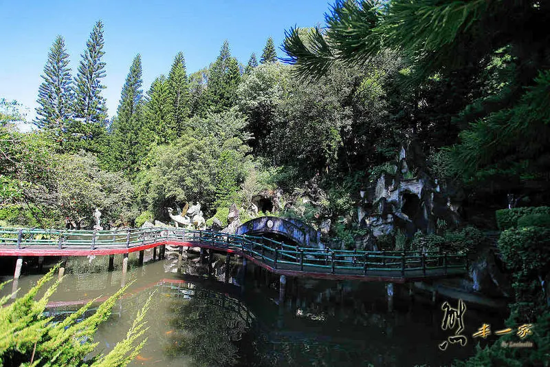 南投泰雅渡假村｜臘腸樹隧道｜馬赫坡草原｜圖騰與中國山水區