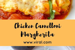 Chicken Cannelloni Margherita 