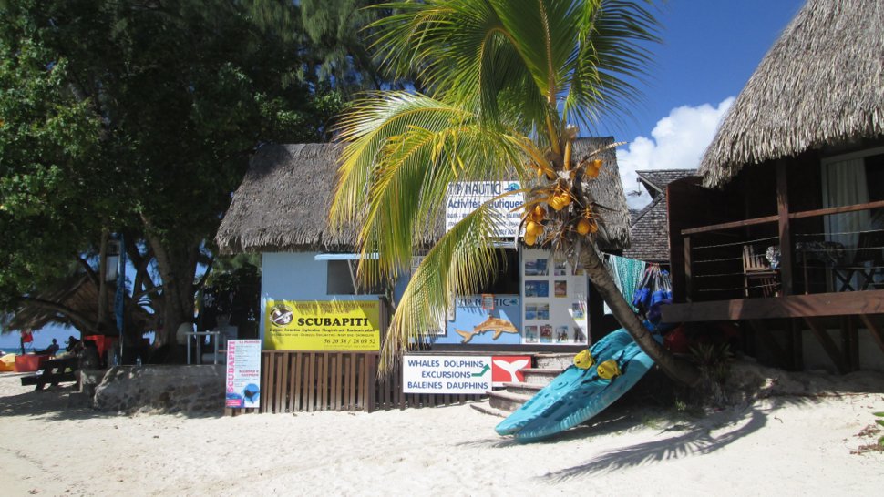 Location de matériel pour des activités nautiques sur la plage des Tipaniers à Moorea - Hauru