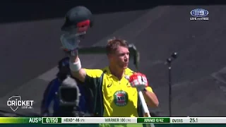 David Warner 179 vs Pakistan Highlights