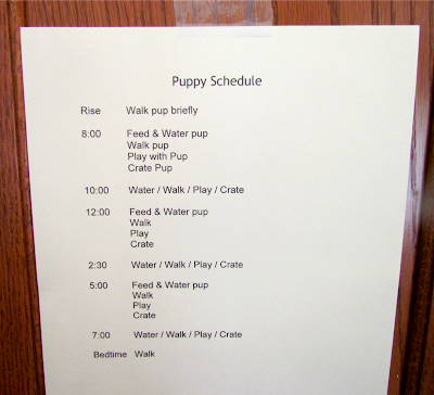 ... Hypoallergenic Dogs: Outdoor Potty Schedules ----15 week Puppy Update