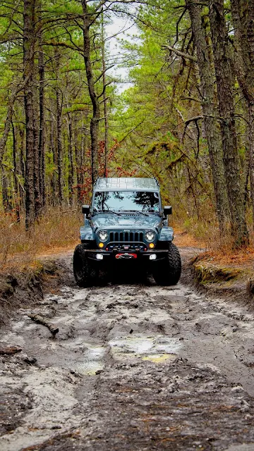 Papel de Parede Jeep na Floresta