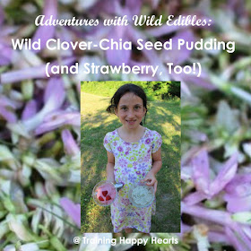 http://traininghappyhearts.blogspot.com/2016/06/wild-clover-chia-seed-pudding.html