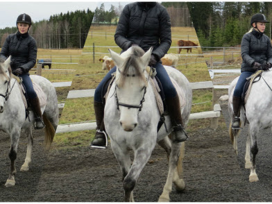 Kasarikorkkiruuvi ratsastusterapiassa