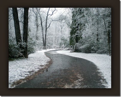 Images 2012 926