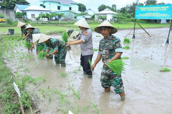 Wujudkan Pembinaan Ketahanan Pangan, Kodim 1426 Takalar Laksanakan Tanam Padi