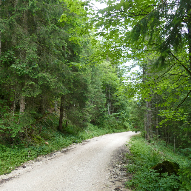 escursione Köglhörndl da Hinterthiersee