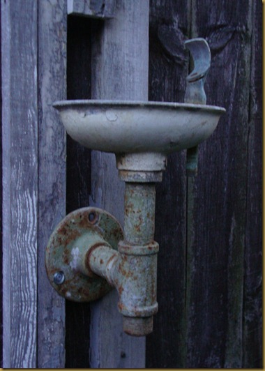 DSC03243