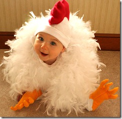 chicken
