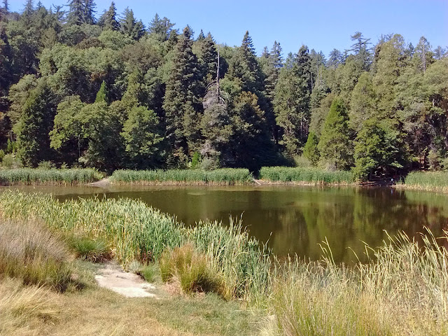 Doane Pond