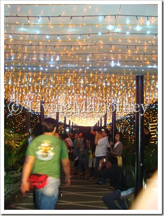 Liwanag Park