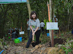 BCA Dan PPATK Tanam Ribuan Pohon Di Lahan Konservasi Orangutan Kalimantan Timur