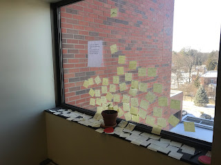 Clay pot with small plant surrounded with lots of sticky notes