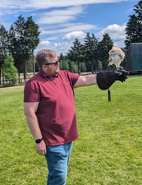 Owl Experience Day in Northumberland