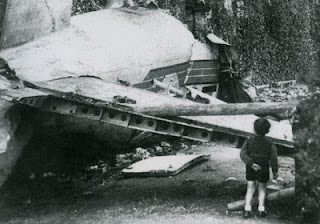 Авиакатастрофа Тоино