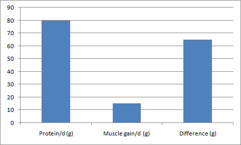 Protein Amount Per Day Build Muscle