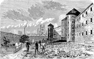 A black and white line drawing showing a Victorian prison building with men labouring outside in a vegetable garden. The garden is bounded by a high wall against which is an area sectioned off by an iron fence. There are buildings - a factory chimney and church tower - in the distance beyond the wall.