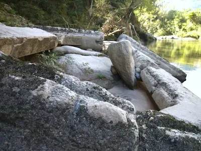 鳥取県日野川の廃橋 薮津橋の下に横たわる橋脚遺構