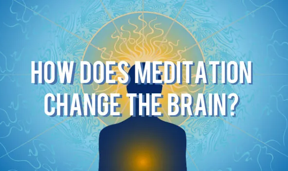 Harvard MRI Study Proves Meditation Literally Rebuilds Brain’s Gray Matter In 8 Weeks