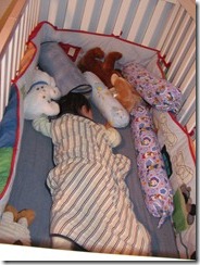 IMG_0265 (2)