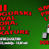 CRNOGORSKI FESTIVAL HUMORA, SATIRE I KARIKATURE; NAGRADE NA FESTIVALU