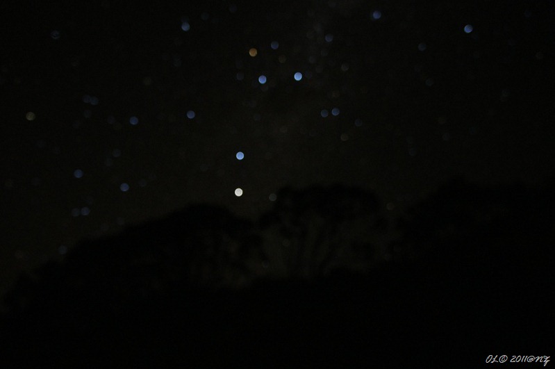 DSC01335