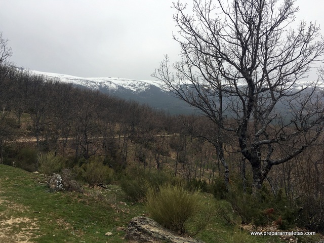 excursión sierra madrid