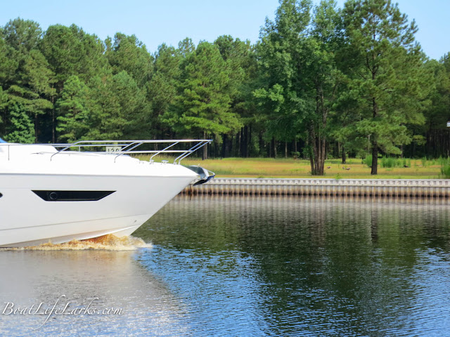 Wild Turkeys and Power Boat, ICW, North Carolina