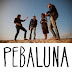 Pebaluna - No, I Can’t (NEW SONG)