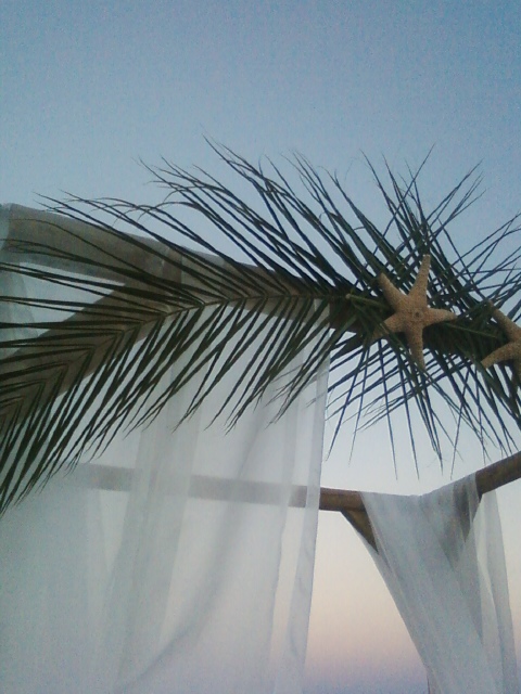 Beach Wedding Ceremony Arbor and Decor Furnished By Absolutely Fabulous 