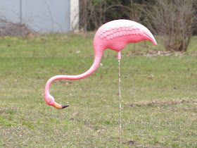 yard flamingo