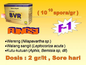 "natural bvr pengendali hama organik natural nusantara distributor nasa"