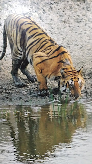 sundarban tour package rates- FTS Stay