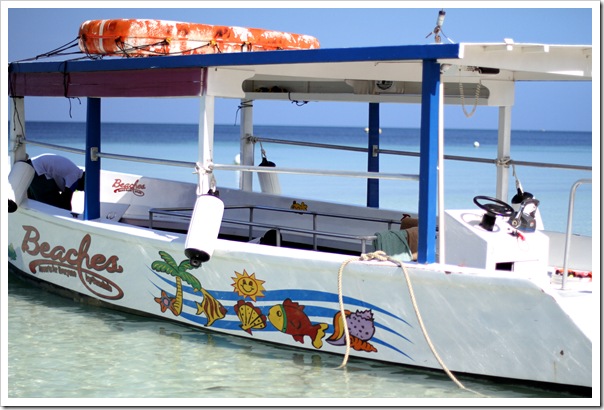 Jamaica IMG_6321
