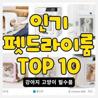 인기 펫드라이룸 TOP 10 순위 썸네일
