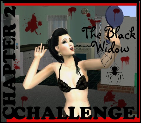 blackwidowchallengechapter2