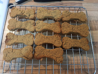 Bone shaped home made dog biscuits cooling on a wire rack after baking