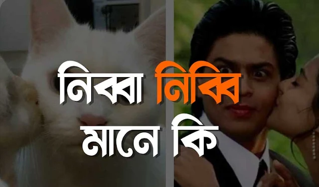 নিব্বা নিব্বি মানে কি ও কাকে বলে